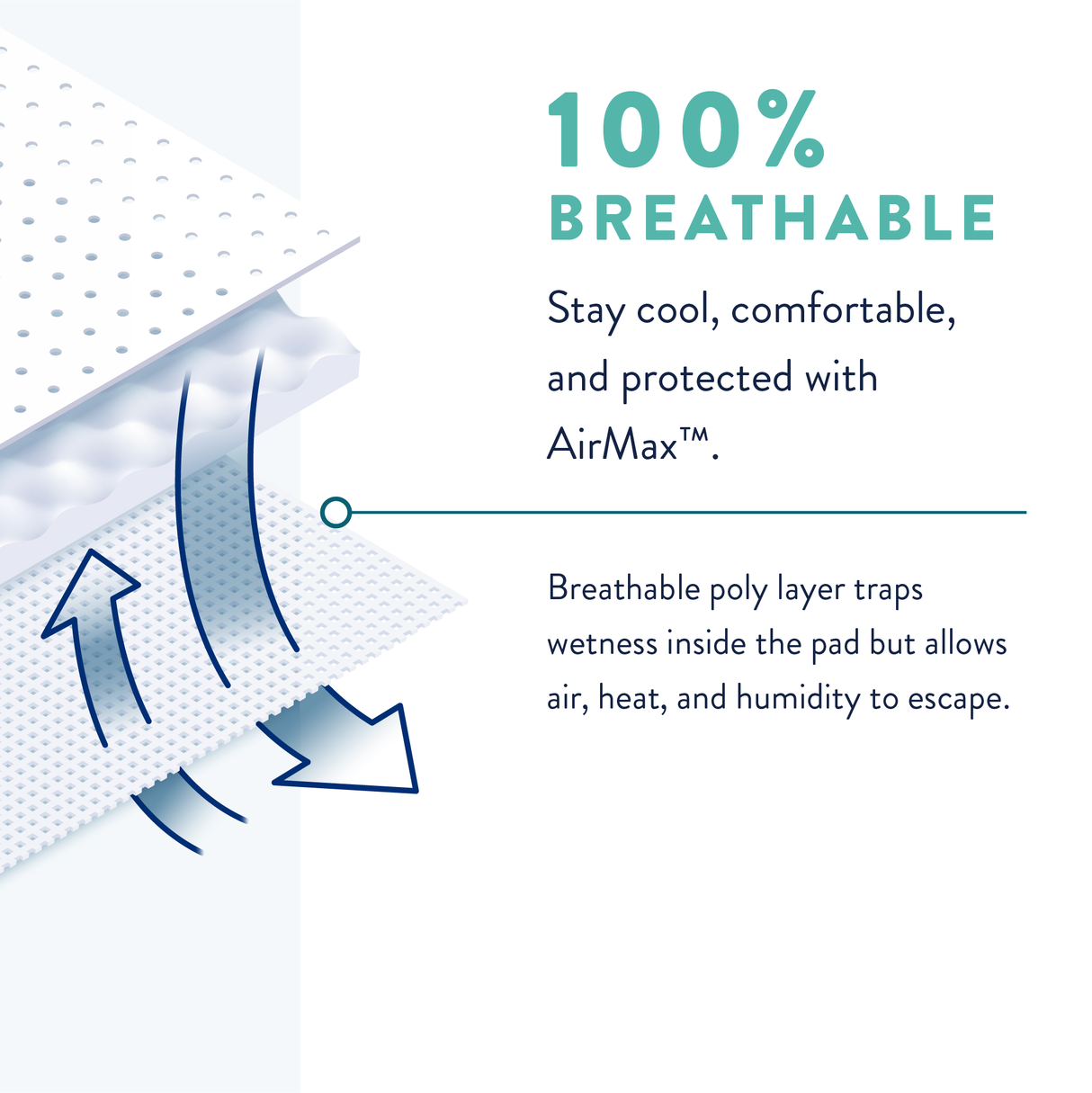 Prevail® Male Guard - Maximum