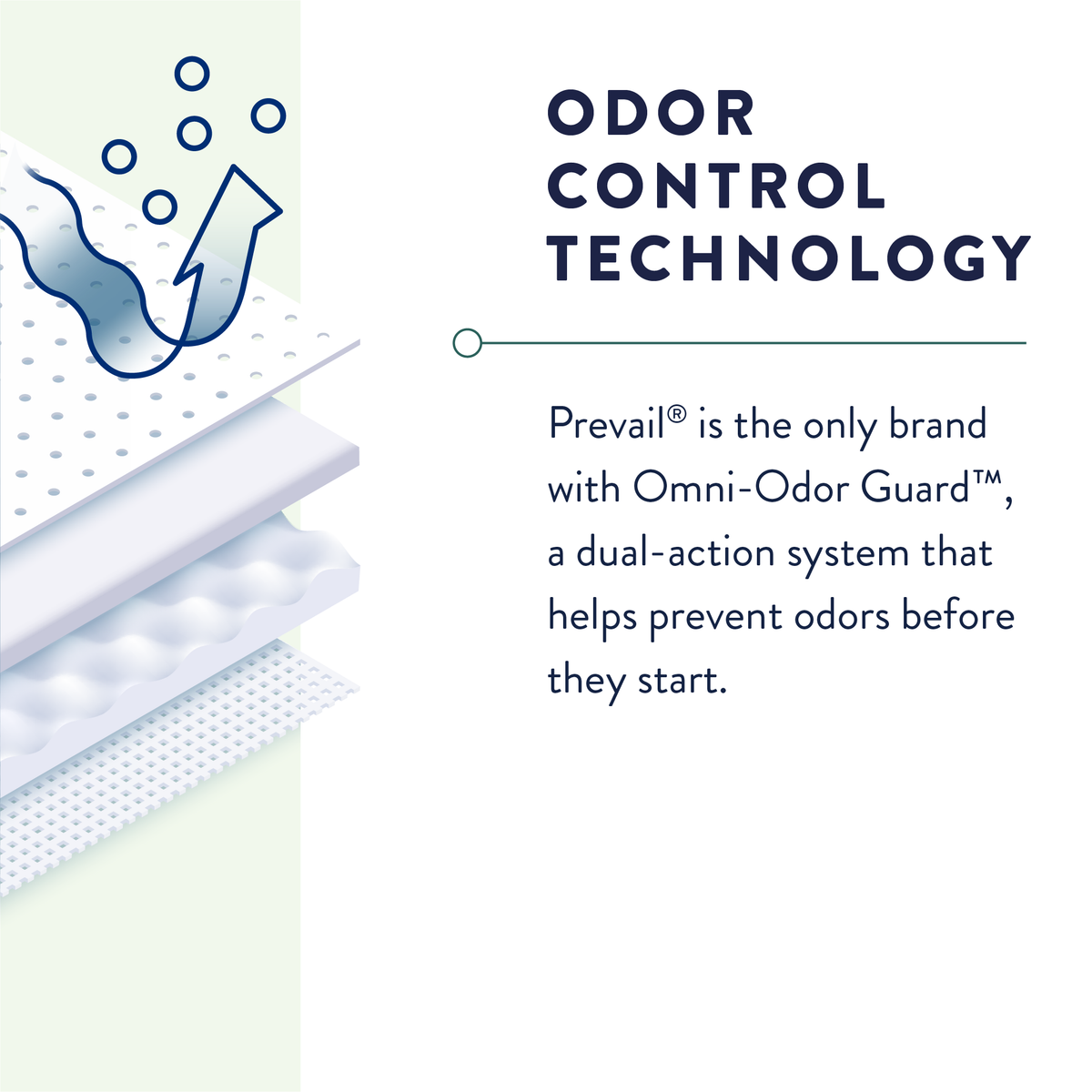 Prevail® Extra Absorbency Underwear
