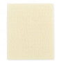 HOL 529938R BX/10 CALCICARE  2" X 2" CALCIUM ALGINATE DRESSING