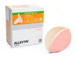 BX/5 ALLEVYN AG HEEL