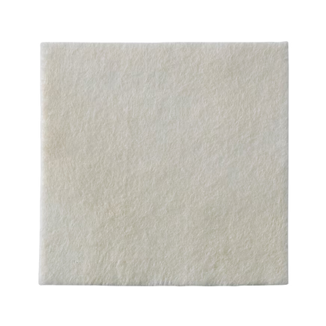 Biatain Alginate AG Size 6in X 6in (15cm X 15cm) — 15×15cm / 6×6in